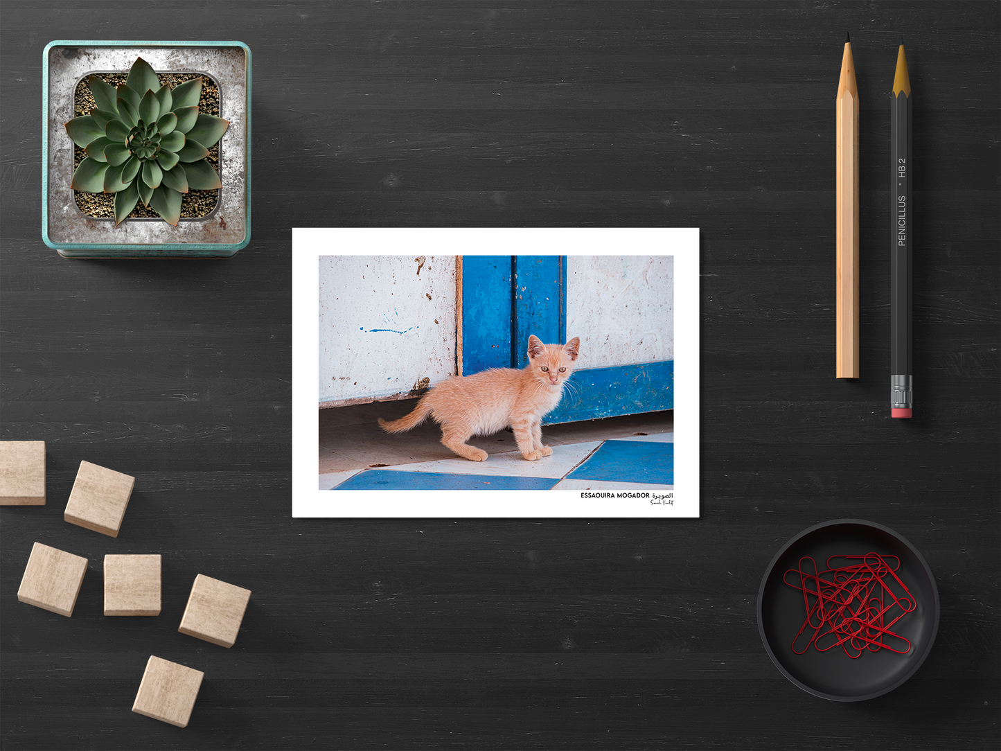 Sarah Varlet - Photo Affiche Poster - Décoration - Maroc - Voyage - Carte Postale - Essaouira