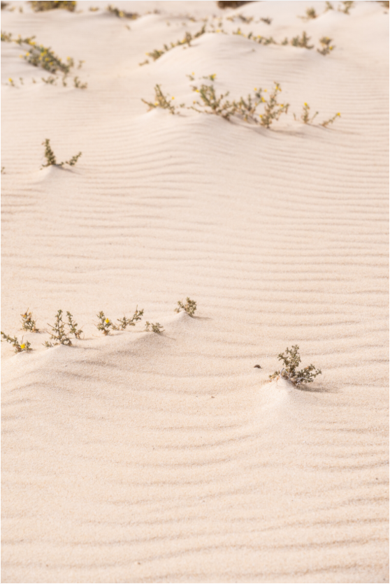 Sarah Varlet - Photo Affiche Poster - Décoration - Paysage - Lanzarote