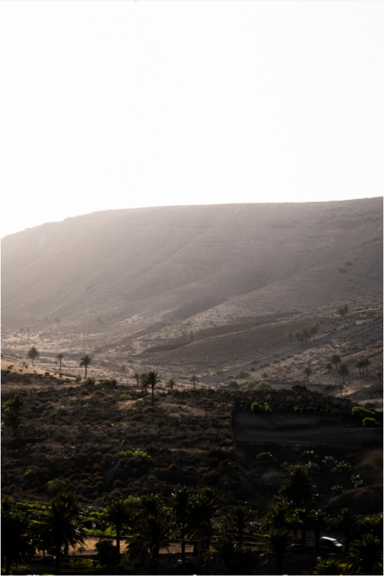 Sarah Varlet - Photo Affiche Poster - Décoration - Paysage Lanzarote