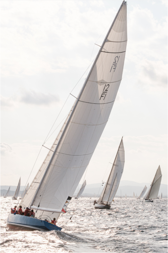 Sails of Saint Tropez