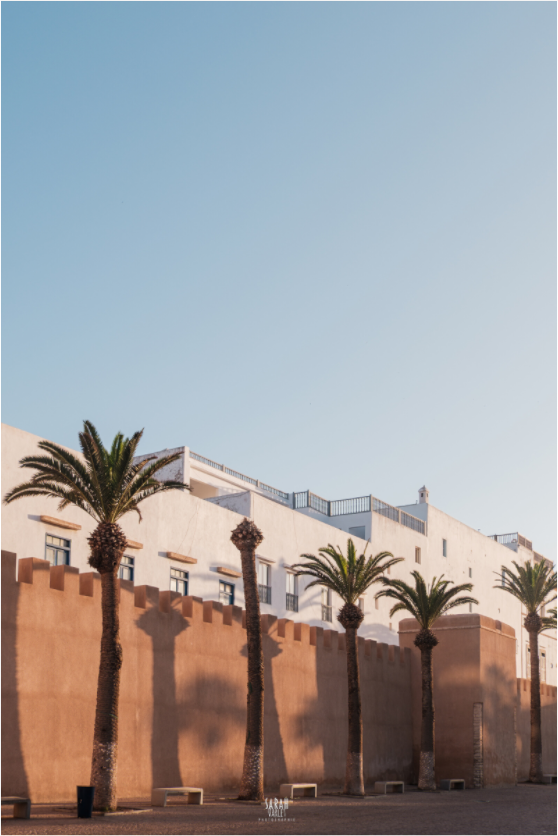 Photographe Sarah Varlet Décoration Print Affiche Poster Essaouira Maroc Rue Blanc Minimalisme remparts palmiers ocre