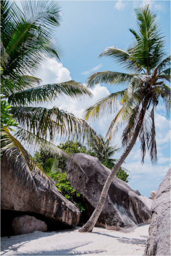 Sarah Varlet - Photo Affiche Poster - Décoration - Paysage - Mer - Seychelles