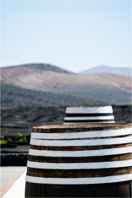 Sarah Varlet - Photo Affiche Poster - Décoration - Paysage - Lanzarote