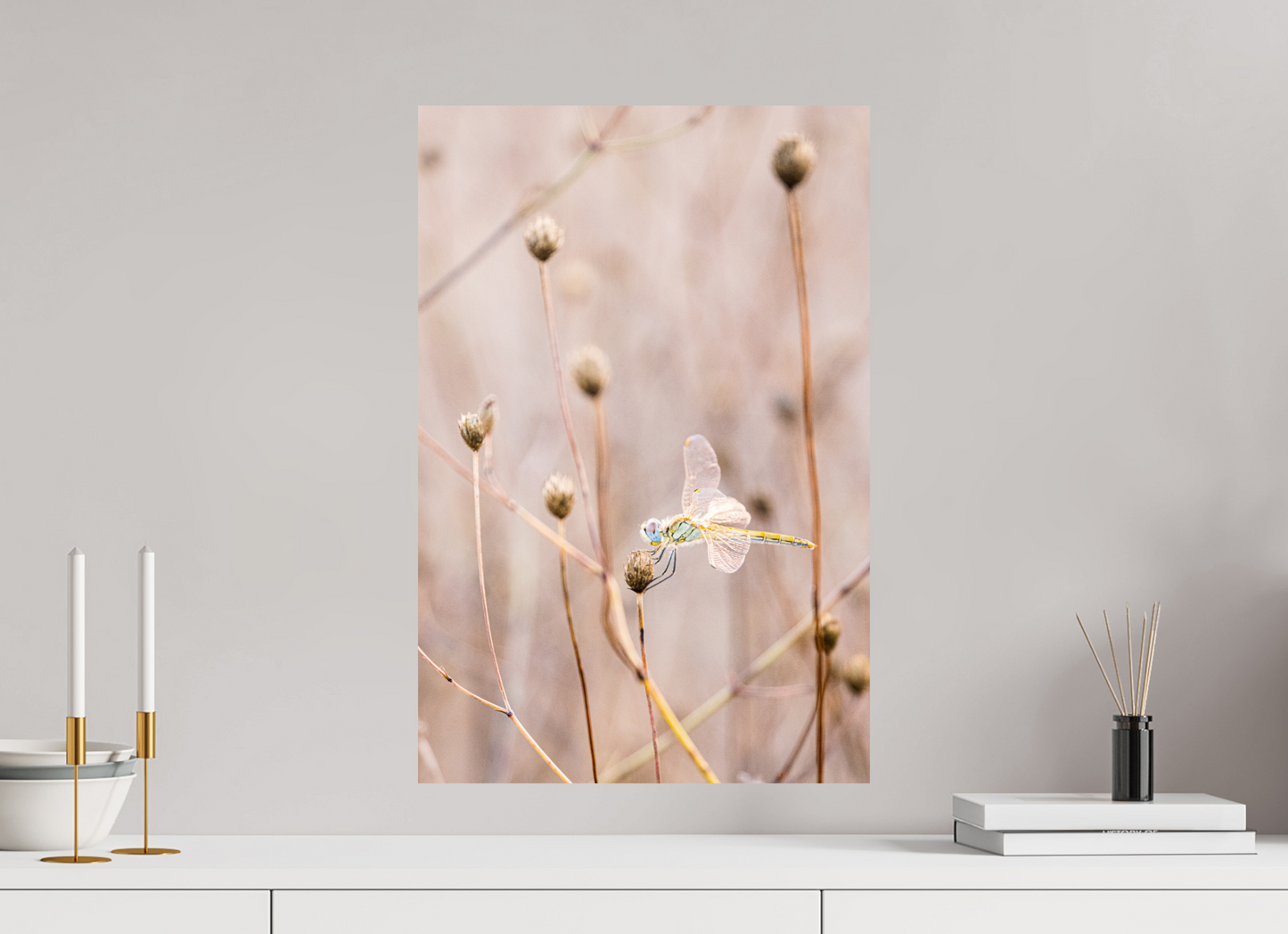 Photographie coucher de soleil Espace Nature END DU plan La garde Libellule