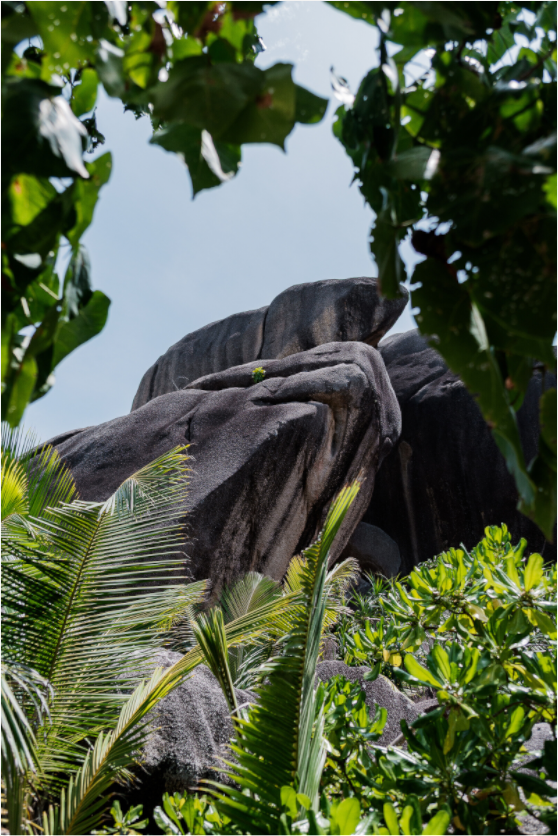 Sarah Varlet - Photo Affiche Poster - Décoration - Paysage - Mer - Seychelles
