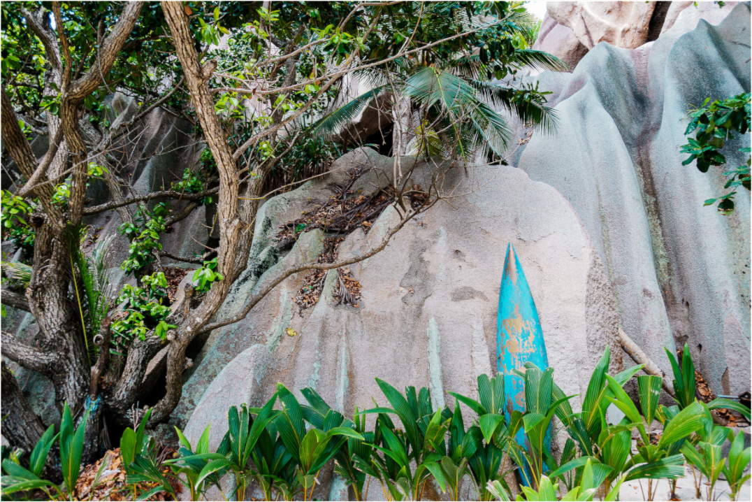 Photographie Seychelles Paysages Plage et foret paradisiaques