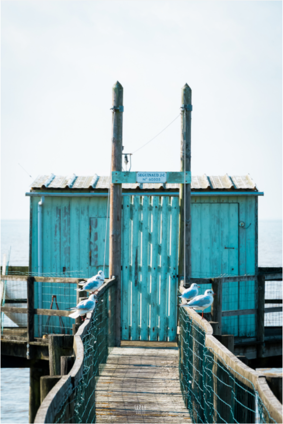 Photographie cabanon carrelet Talmont sur Gironde Sarah Varlet