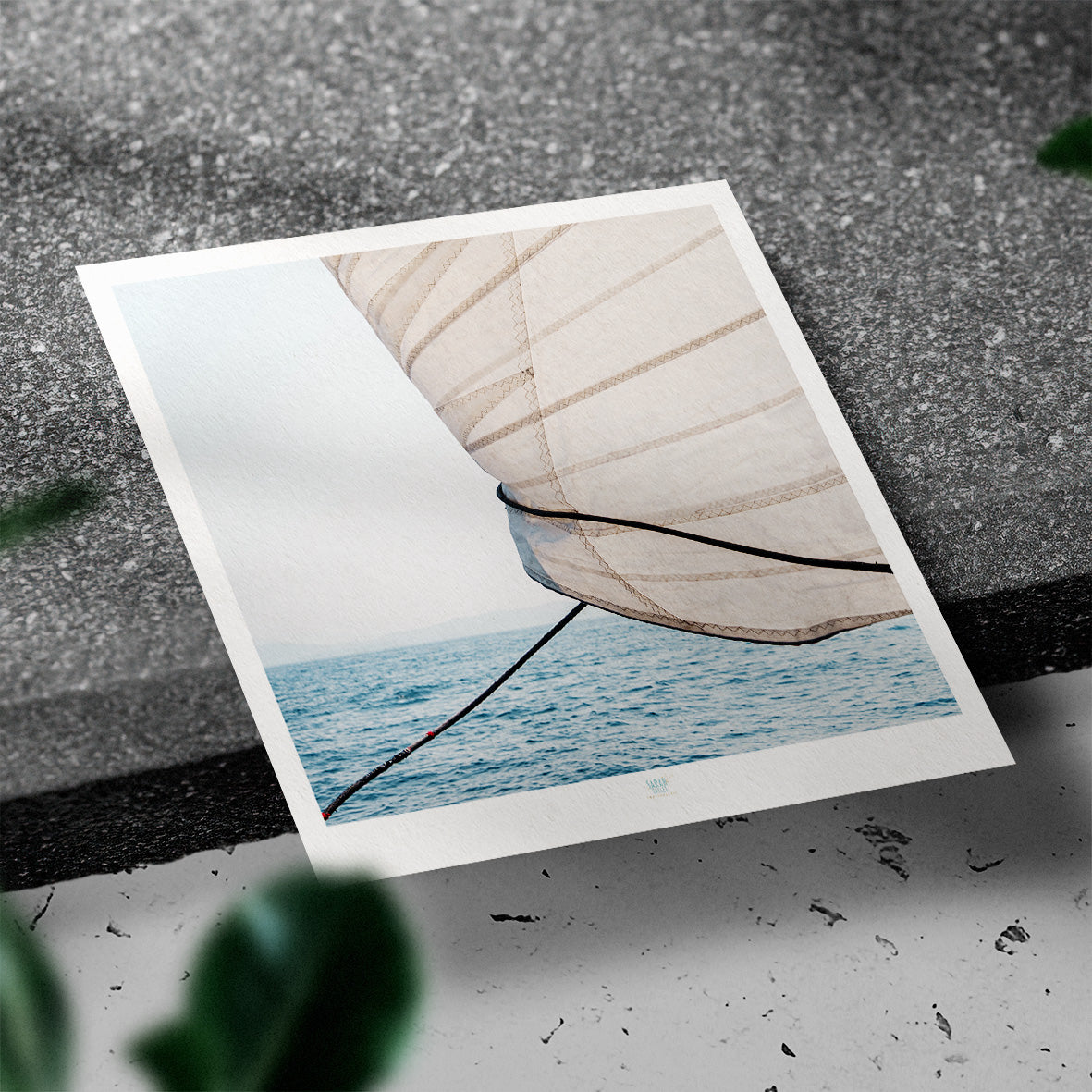 Essaouira Postcard