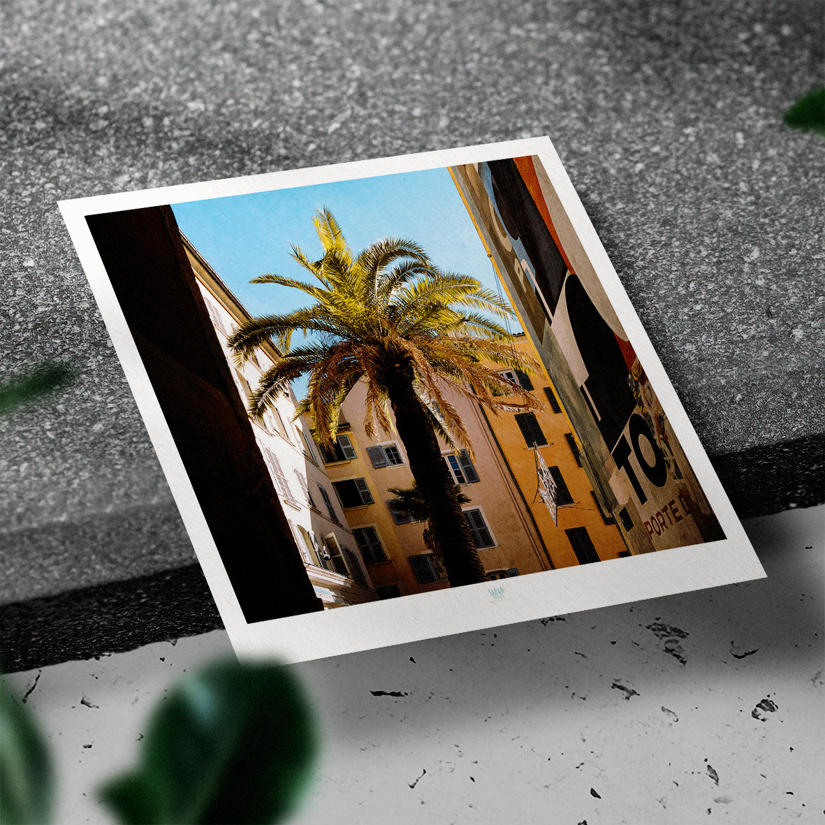 Essaouira Postcard