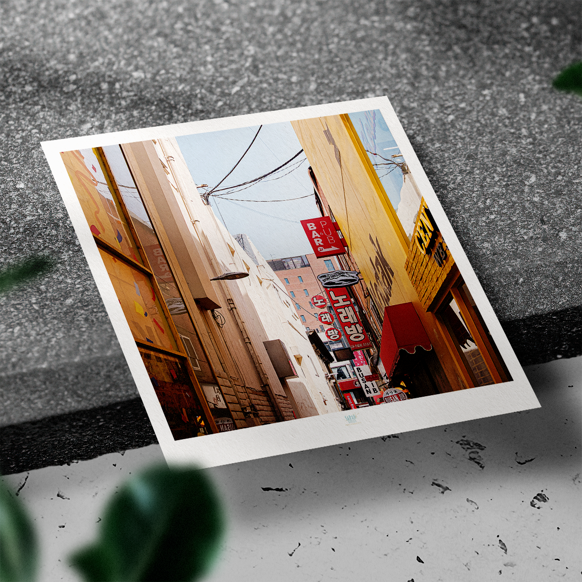 Essaouira Postcard