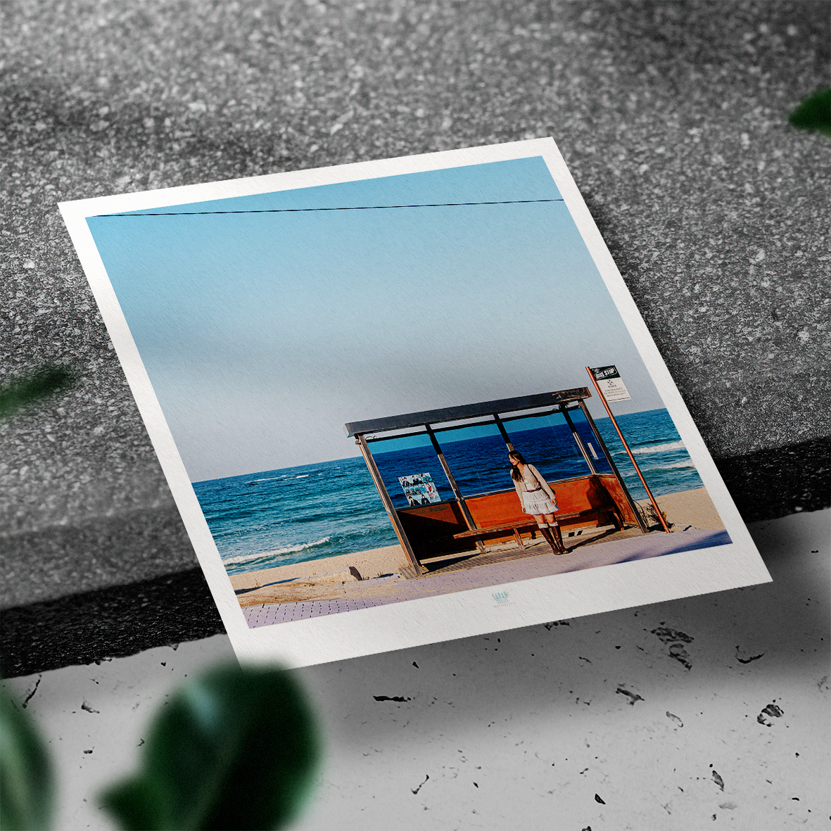 Essaouira Postcard