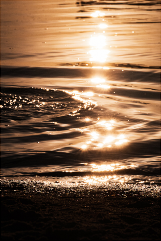Hyères les Palmiers - The golden hour