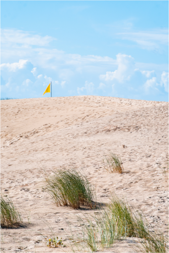 Photographie paysage Vendée La Palmyre Sarah Varlet
