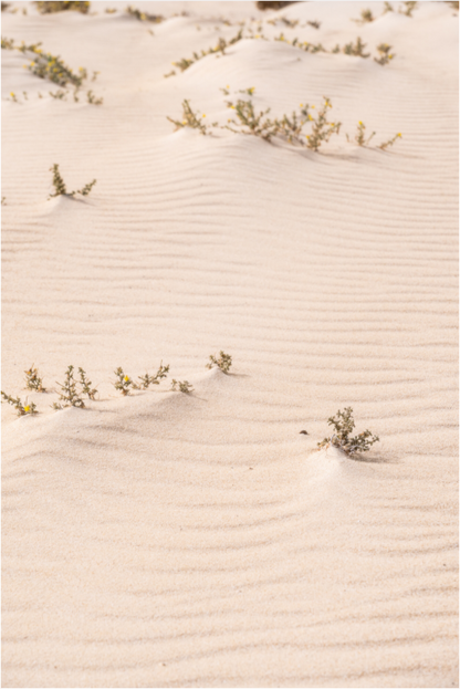 Sarah Varlet - Photo Affiche Poster - Décoration - Paysage - Lanzarote