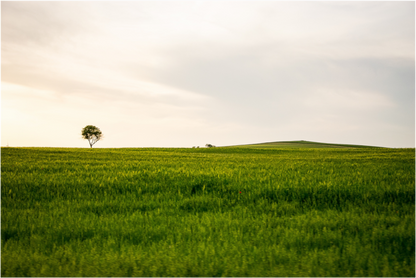 Italie - Lonely