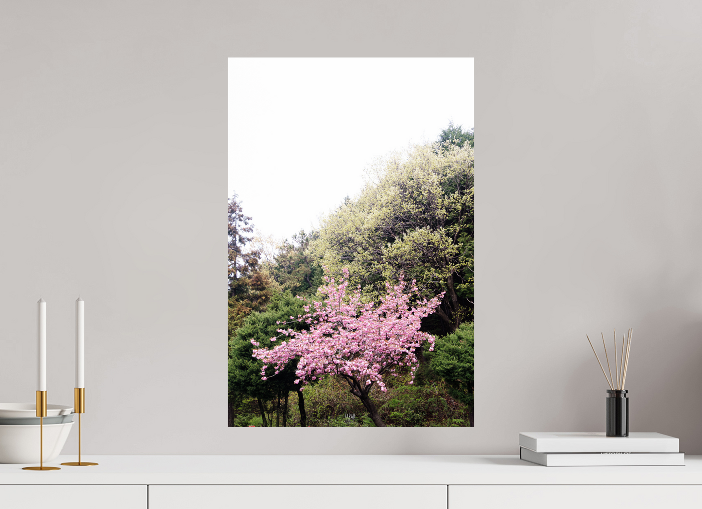40 x 60 cm, Photo Print On Fuji Crystal DP II Corée du Sud