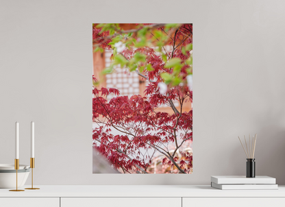40 x 60 cm, Photo Print On Fuji Crystal DP II Corée du Sud