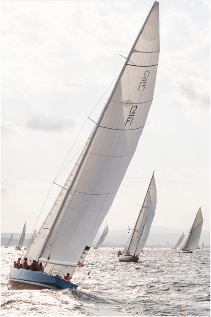 Sails of Saint Tropez