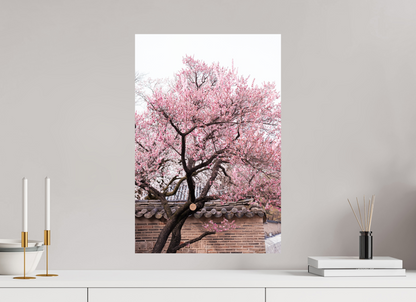 40 x 60 cm, Photo Print On Fuji Crystal DP II Corée du Sud