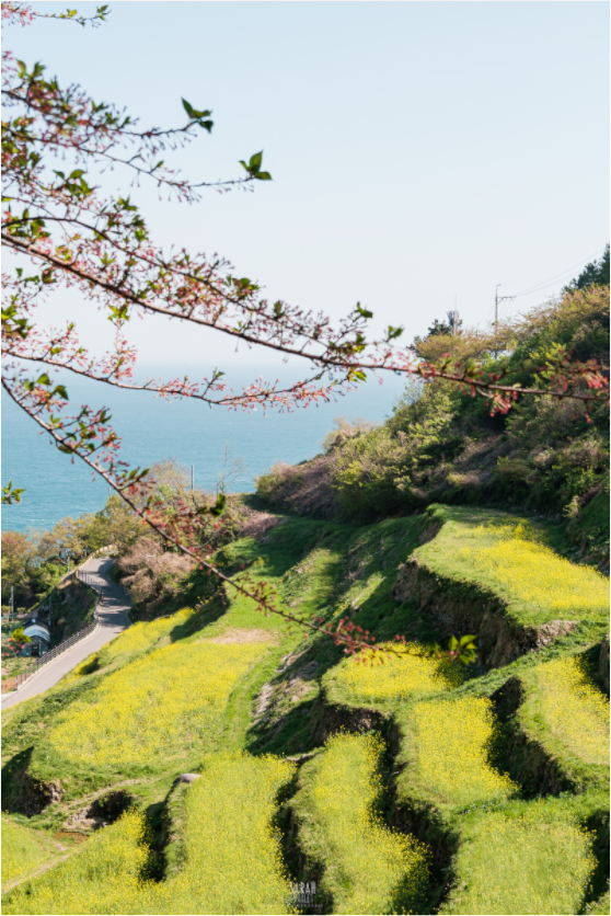 Main image Corée du Sud