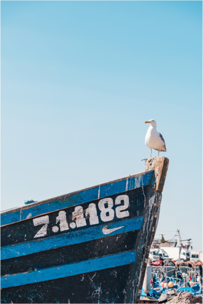 Sarah Varlet - Photo Affiche Poster - Décoration - Maroc Essaouira - Barque Bleu - Mouette