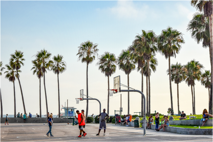 Venice Beach