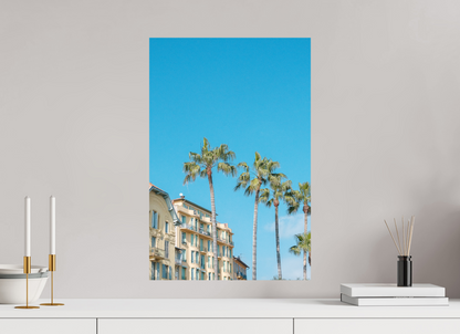 Photographie de palmiers Nice avec ciel bleu