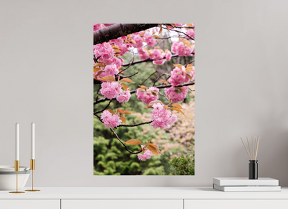 40 x 60 cm, Photo Print On Fuji Crystal DP II Corée du Sud
