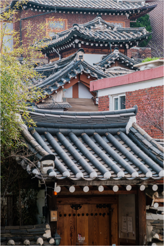 Photographe Sarah Varlet - Voyage Corée du sud Seoul Busan Temple Gyeongju cerisiers sakura - Tirage photo Décoration