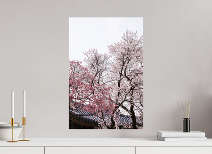 40 x 60 cm, Photo Print On Fuji Crystal DP II Corée du Sud