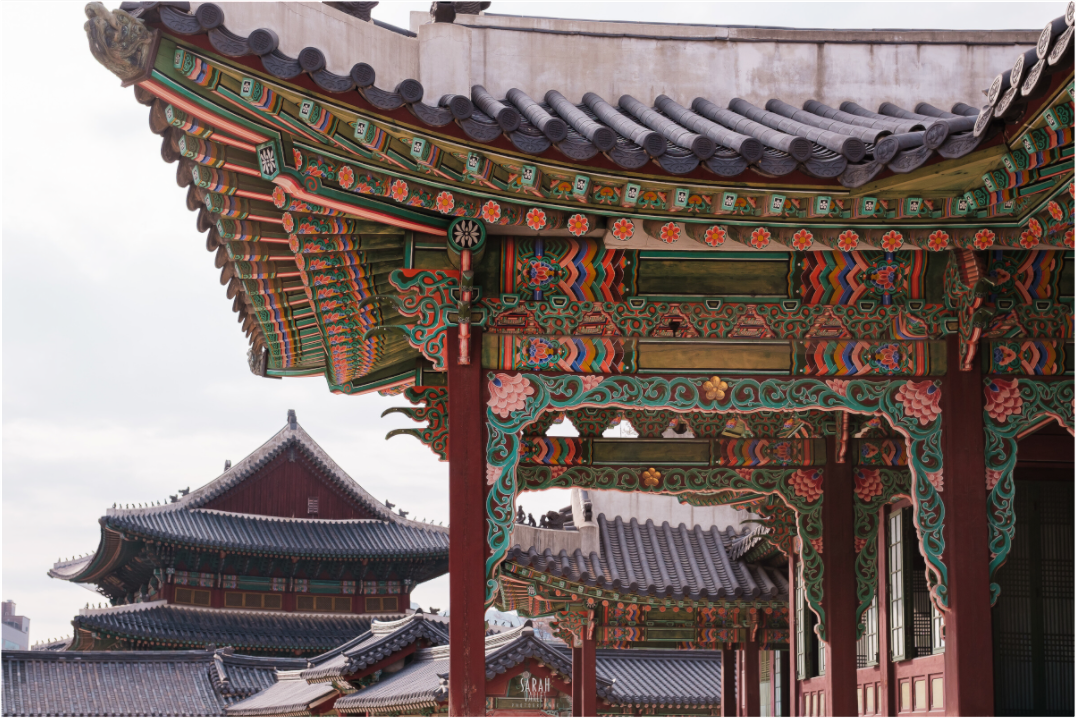 Photographe Sarah Varlet - Voyage Corée du sud Seoul Busan Temple Gyeongju cerisiers sakura - Tirage photo Décoration