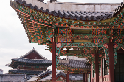 Photographe Sarah Varlet - Voyage Corée du sud Seoul Busan Temple Gyeongju cerisiers sakura - Tirage photo Décoration