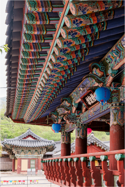 Photographe Sarah Varlet - Voyage Corée du sud Seoul Busan Temple Gyeongju cerisiers sakura - Tirage photo Décoration