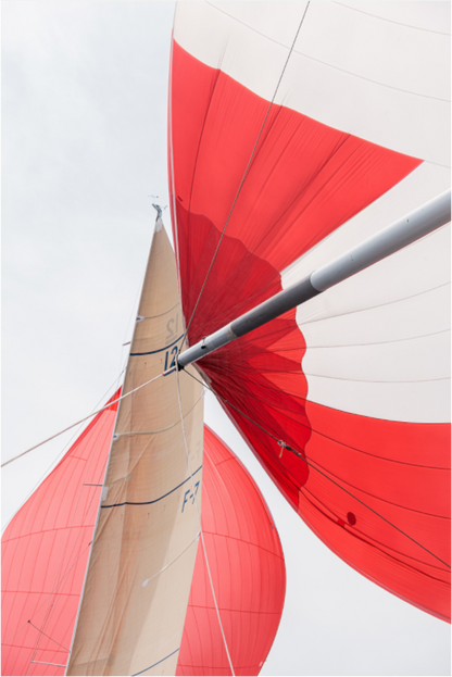 Photographie Décoration Sarah Varlet Régates Bateau French Kiss 12MJI Minimalisme Voiles et Spi