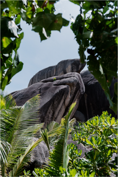 Sarah Varlet - Photo Affiche Poster - Décoration - Paysage - Mer - Seychelles