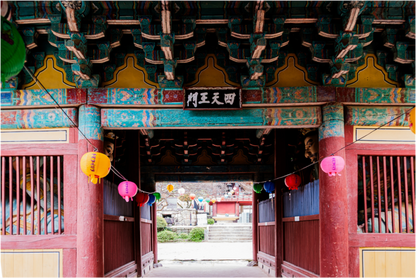 Photographe Sarah Varlet - Voyage Corée du sud Seoul Busan Temple Gyeongju cerisiers sakura - Tirage photo Décoration