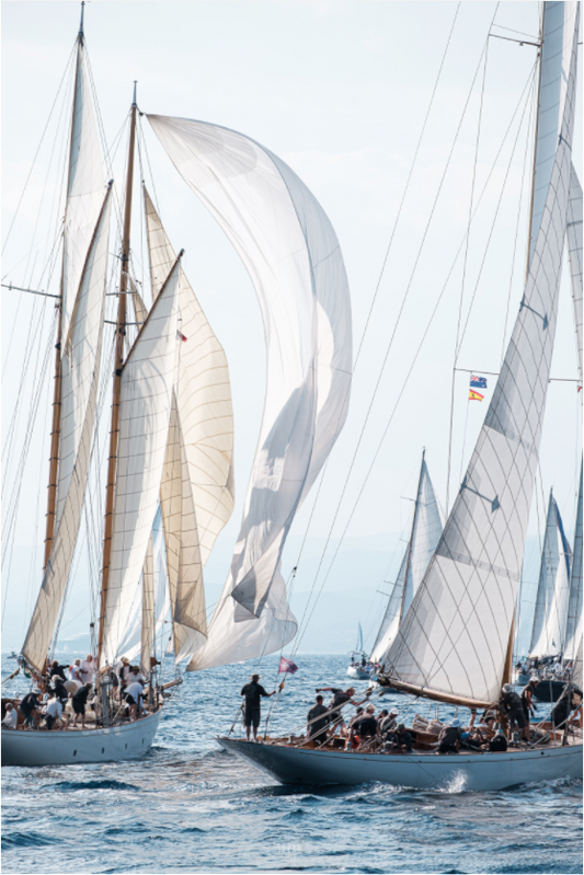 Sails of Saint Tropez
