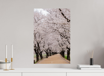 40 x 60 cm, Photo Print On Fuji Crystal DP II Corée du Sud
