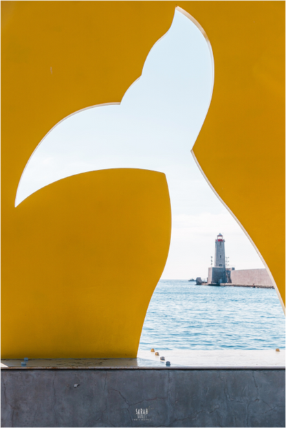 Sails of Saint Tropez