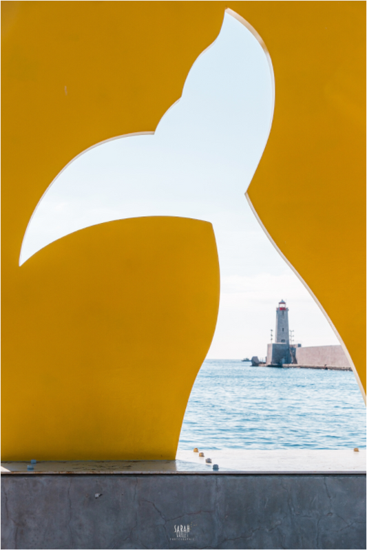Sails of Saint Tropez
