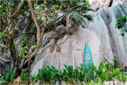 Photographie Seychelles Paysages Plage et foret paradisiaques