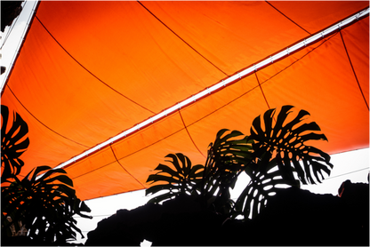 Sarah Varlet - Photo Affiche Poster - Décoration - Voyage - Lanzarote - Paysage