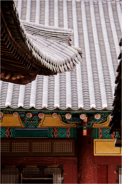 Photographe Sarah Varlet - Voyage Corée du sud Seoul Busan Temple Gyeongju cerisiers sakura - Tirage photo Décoration