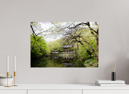 Photographe Sarah Varlet - Voyage Corée du sud Seoul Busan Temple Gyeongju cerisiers sakura sokcho - Tirage photo Décoration