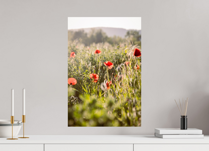 Sarah Varlet - Photo Affiche Poster - Décoration - nature coquelicots