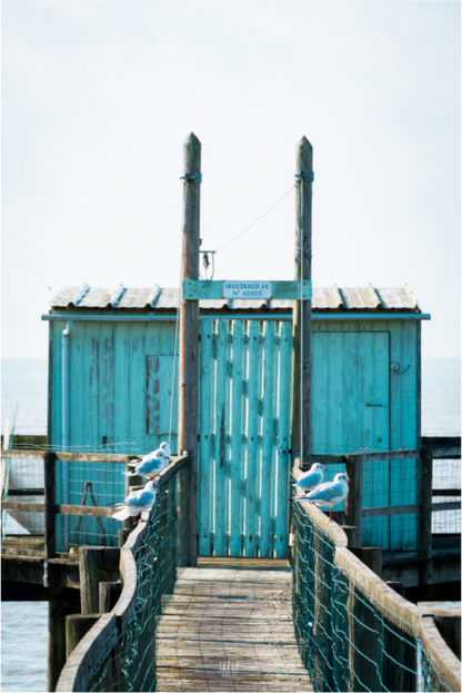 Photographie cabanon carrelet Talmont sur Gironde Sarah Varlet 