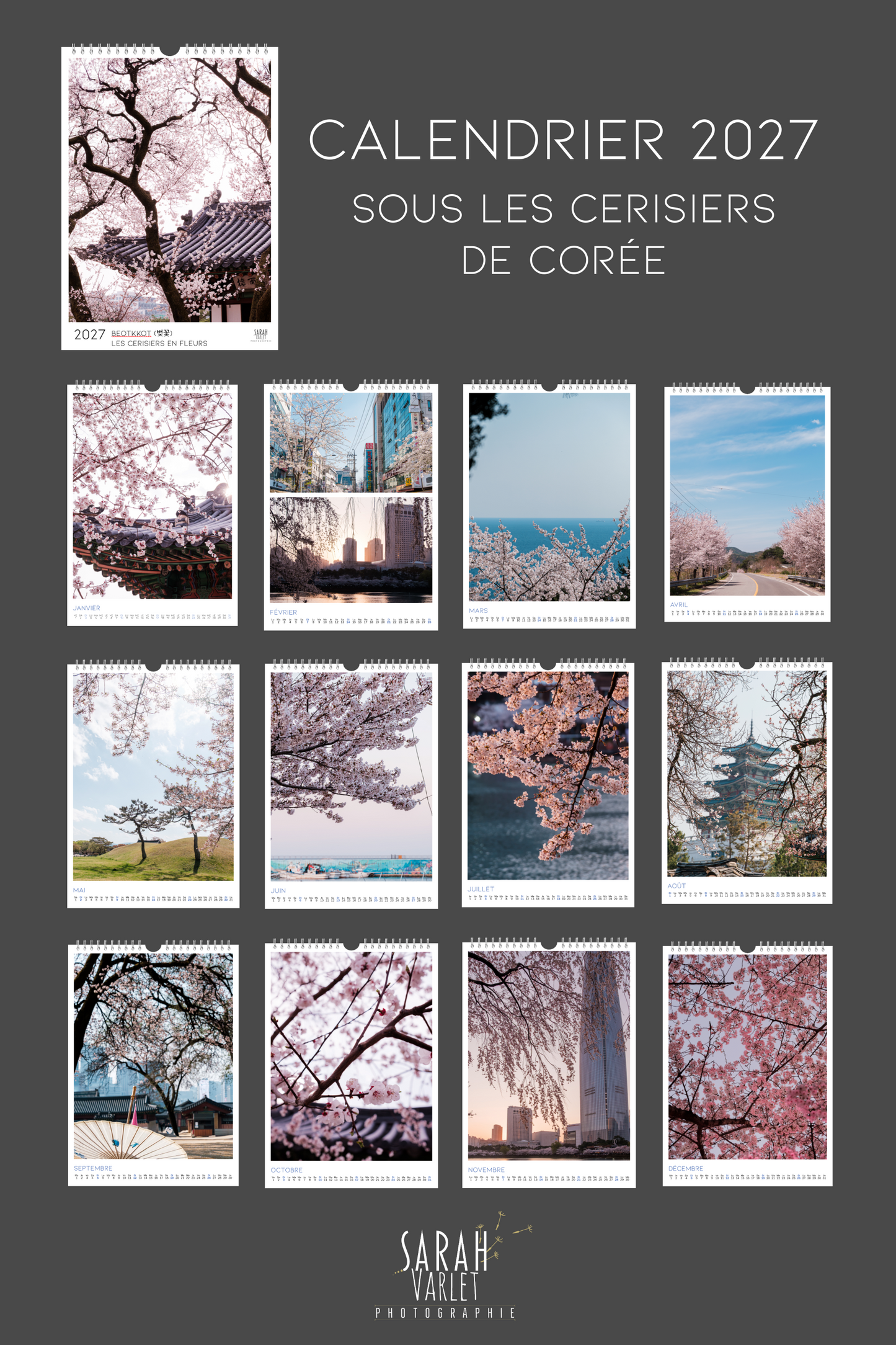 Calendrier photos 2027 - Corée : sous les cerisiers