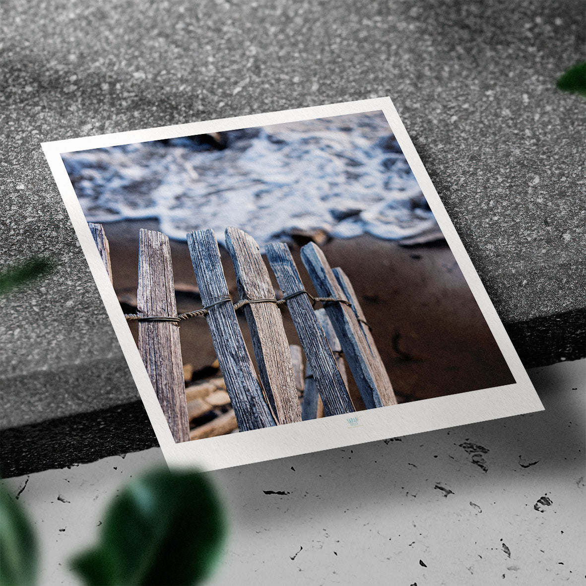 Essaouira Postcard