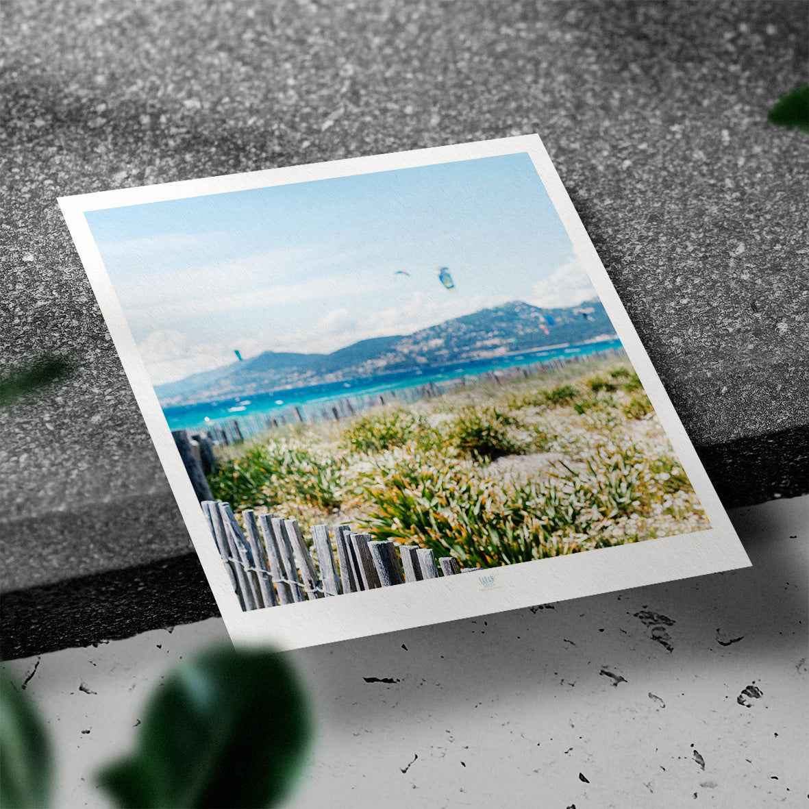 Essaouira Postcard
