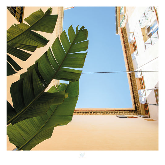 Essaouira Postcard